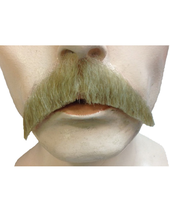 walrus moustache