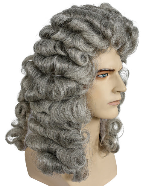 Discount Judge Costume Wig