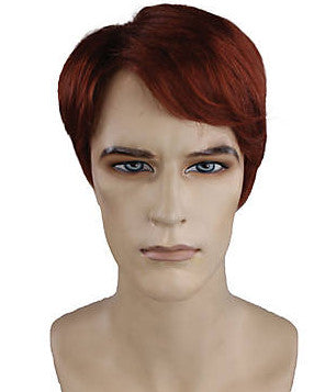 Mens Wig Side Part Francis Underwood